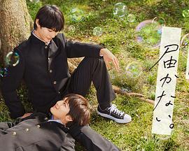 黄色网站专区海报剧照